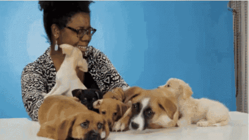a woman is surrounded by puppies on a table
