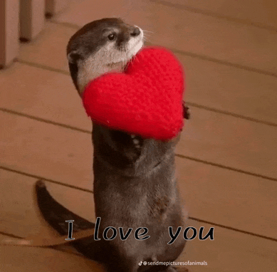 an otter is holding a red heart and saying i love you .