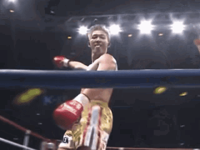 a man in a boxing ring wearing a pair of red boxing gloves with the letter ea on them .