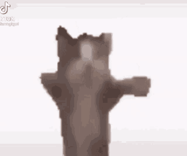 a cat is standing up on its hind legs with its arms outstretched .