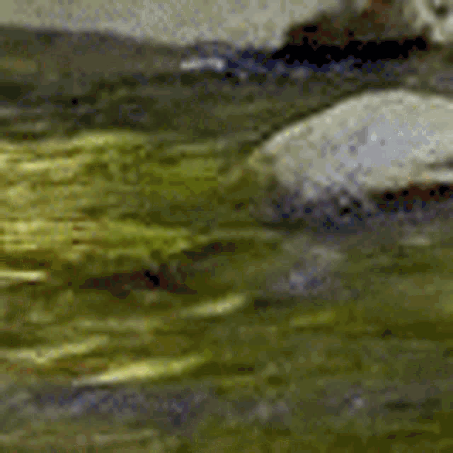 a close up of a painting with a blurred background and a few clouds .
