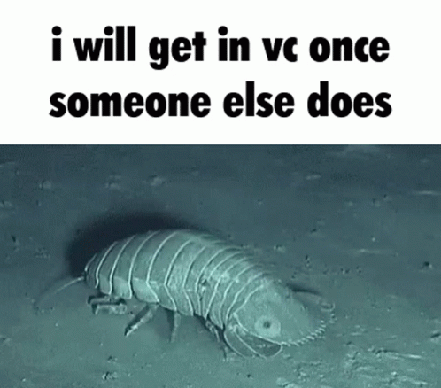 I Will Get In Vc Once Someone Else Does Fish Vc GIF - I Will Get In Vc Once Someone Else Does Fish Vc Fish GIFs