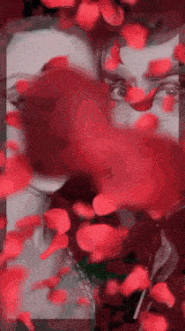 a woman is surrounded by red roses and petals .