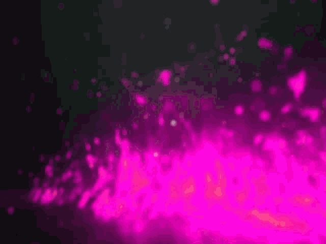 Caryn Ann Harlos Pink Flame GIF - Caryn Ann Harlos Pink Flame Liberty GIFs