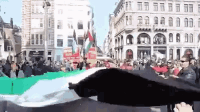 a person is holding a flag in front of a crowd of people in a city .