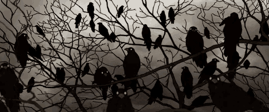 a flock of birds sitting on a tree branch with glowing eyes