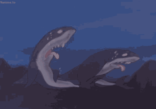 two sharks with their tongues out and a 9anime.to logo in the corner