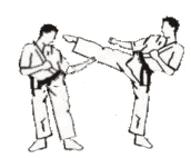 a black and white drawing of two men practicing martial arts .
