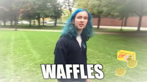 Waffles GIF