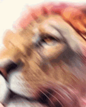 a blurry picture of a lion 's face with a white background