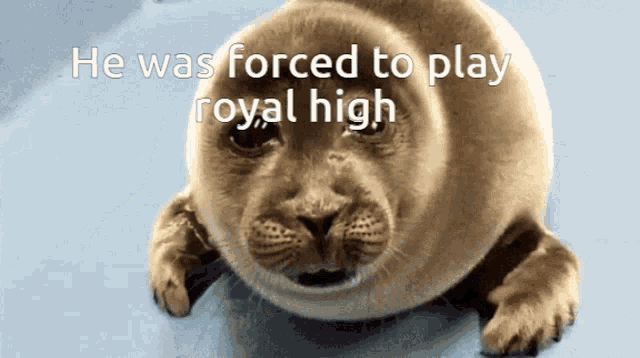 Sad Seal Played Rh GIF - Sad Seal Played Rh GIFs