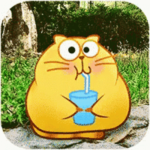 Drink Water Cat Drink GIF - Drink Water Cat Drink Sip Straw GIFs