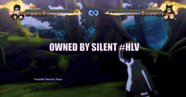 a video game screen says owned by silent #hlv