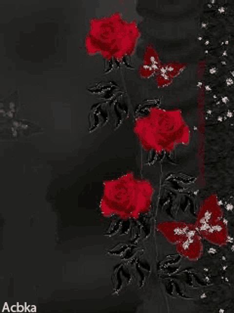 a bunch of red roses on a black background with butterflies .