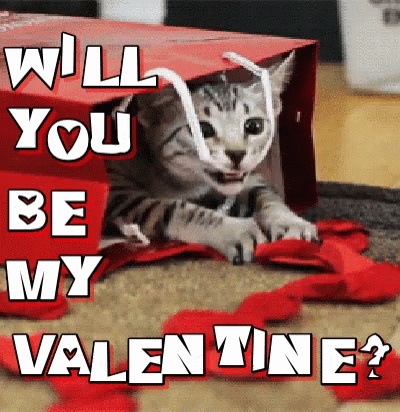 Will You Be My Valentine Be Mine GIF