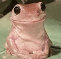 a pink frog is sitting on a green blanket and smiling .