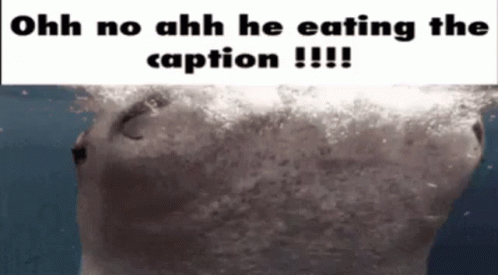 Caption Oh No GIF - Caption Oh No Hes Eating The Caption GIFs