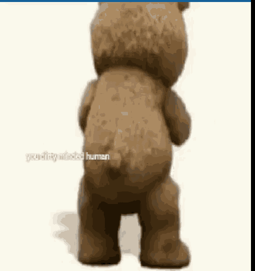 a teddy bear is standing on its hind legs and looking at the camera .