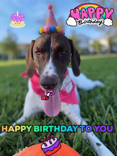 Happy Birthday Pet GIF - Happy Birthday Pet Dog GIFs