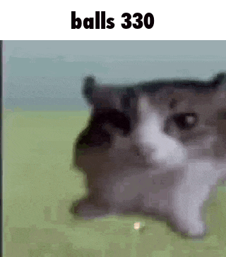 a blurry picture of a cat with the words `` balls 330 '' on the bottom .