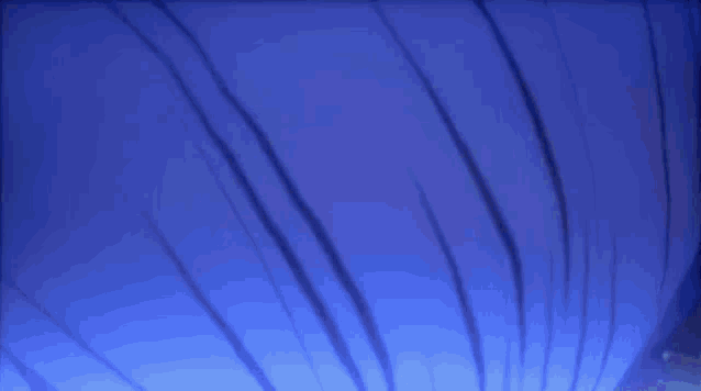 a close up of a person 's face with a blue background
