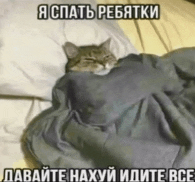 a cat is wrapped in a blanket on a bed with russian writing on it
