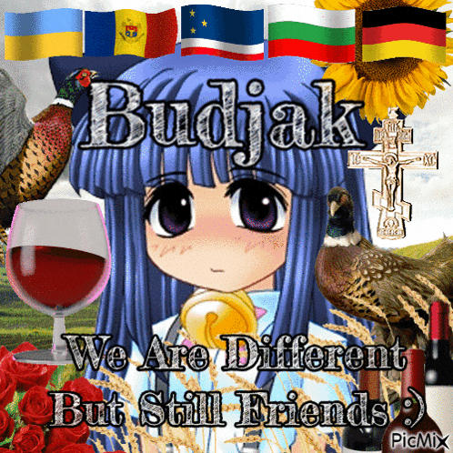 a picture of a girl with the words " budjak we are different but still friends " on it