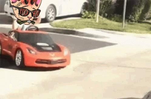 Catsoncracknft Cetsoncreck GIF - Catsoncracknft Cetsoncreck Nft GIFs