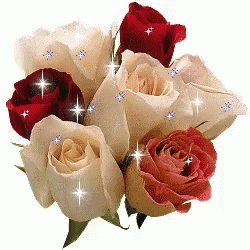 a bunch of roses with sparkles on them