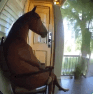 a horse sits in a rocking chair on a porch
