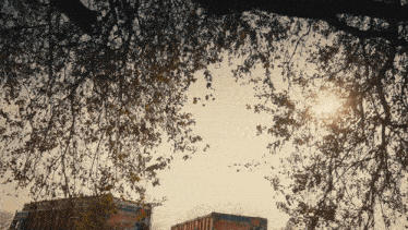a truck with the word budweiser on it is parked under a tree