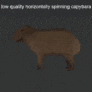 a picture of a sheep with the words low quality horizontally spinning capybara