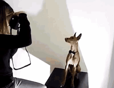 a woman is taking a picture of a small dog