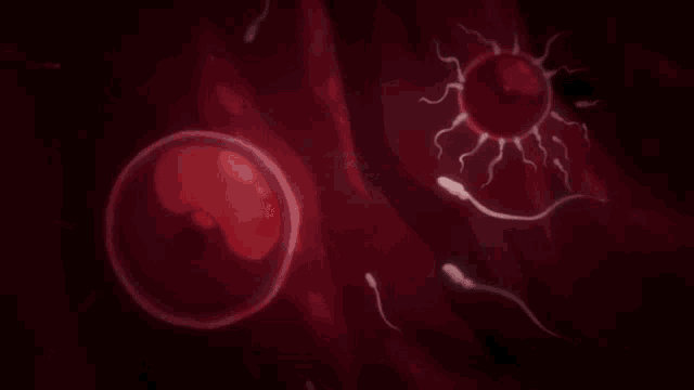 a cartoon illustration of a sperm moving through a woman 's vagina .