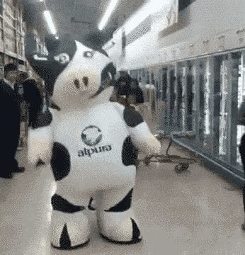 Cow Dance GIF - Cow Dance GIFs