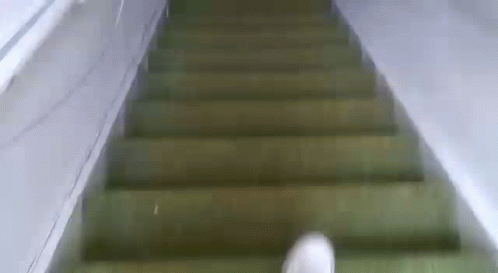 Trap Stairs GIF - Trap Stairs Gong Down GIFs