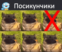 a picture of a dog with a red x in the corner