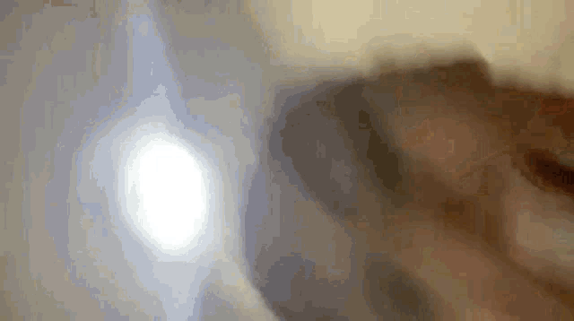 Carolina Late Carolina Costa Soares GIF