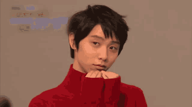 a young man wearing a red sweater looks at the camera