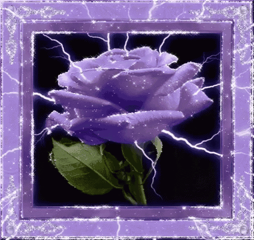 a purple rose in a purple frame with lightning bolts