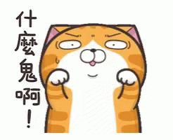 Cat Lan Lan Cat GIF - Cat Lan Lan Cat Hide GIFs