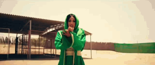 a woman in a green hooded jacket is standing in front of a fence