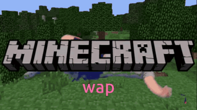 a screenshot of a game called minecraft with a person laying on the ground