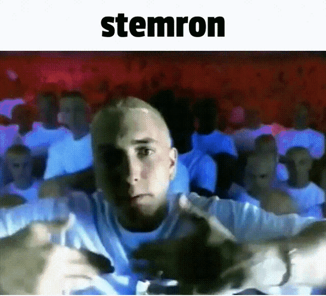 Stemron23 Slim Shady GIF