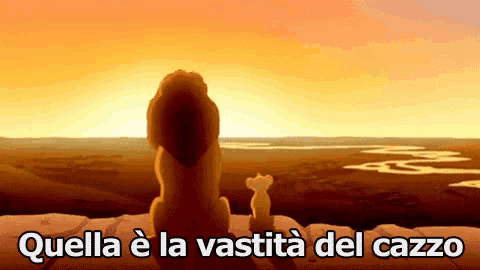 a cartoon of a lion and a cub looking at the sunset with the words quella e la vastita del cazzo below them