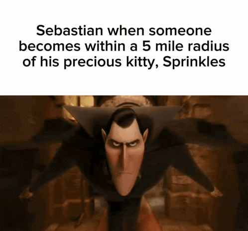 sebastian when someone becomes within a 5 mile radius of his precious kitty , sprinkles ..