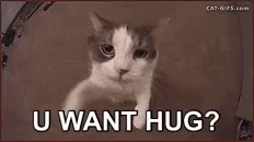 U Want Hug GIF - U Want Hug GIFs