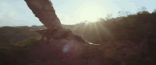 Transformers Rise Of The Beasts GIF - Transformers Rise Of The Beasts Airrazor GIFs