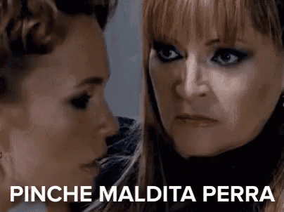 two women are looking at each other with the words pinche maldita perra written on the bottom of the image .