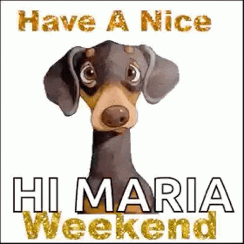 Have A Nice Weekend Dogs GIF - Have A Nice Weekend Dogs Puppy GIFs